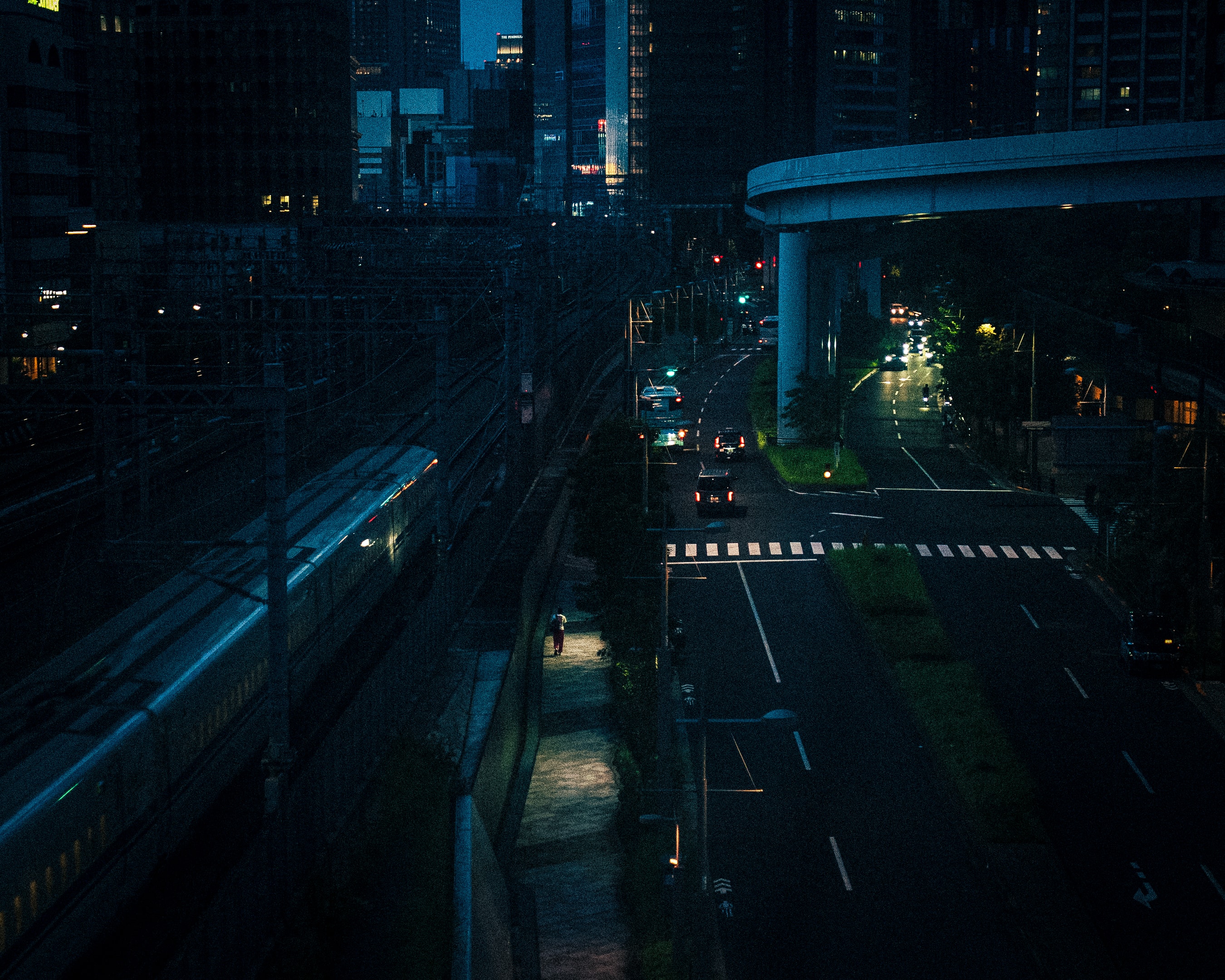 A train slides past as the highway curves overhead.